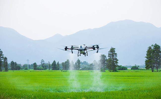Drone AI untuk pertanian modern dan smart farming