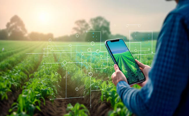 Plant monitoring dengan artificial intelligence untuk pertanian modern